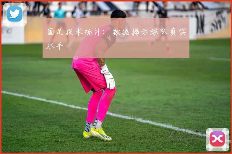 国足技术统计：数据揭示球队真实水平