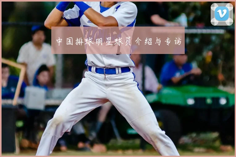 中国排球明星球员介绍与专访