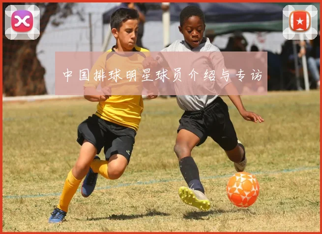 中国排球明星球员介绍与专访
